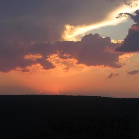 Dinkweng Safari Lodge The Waterberg Biosphere Eksteriør billede